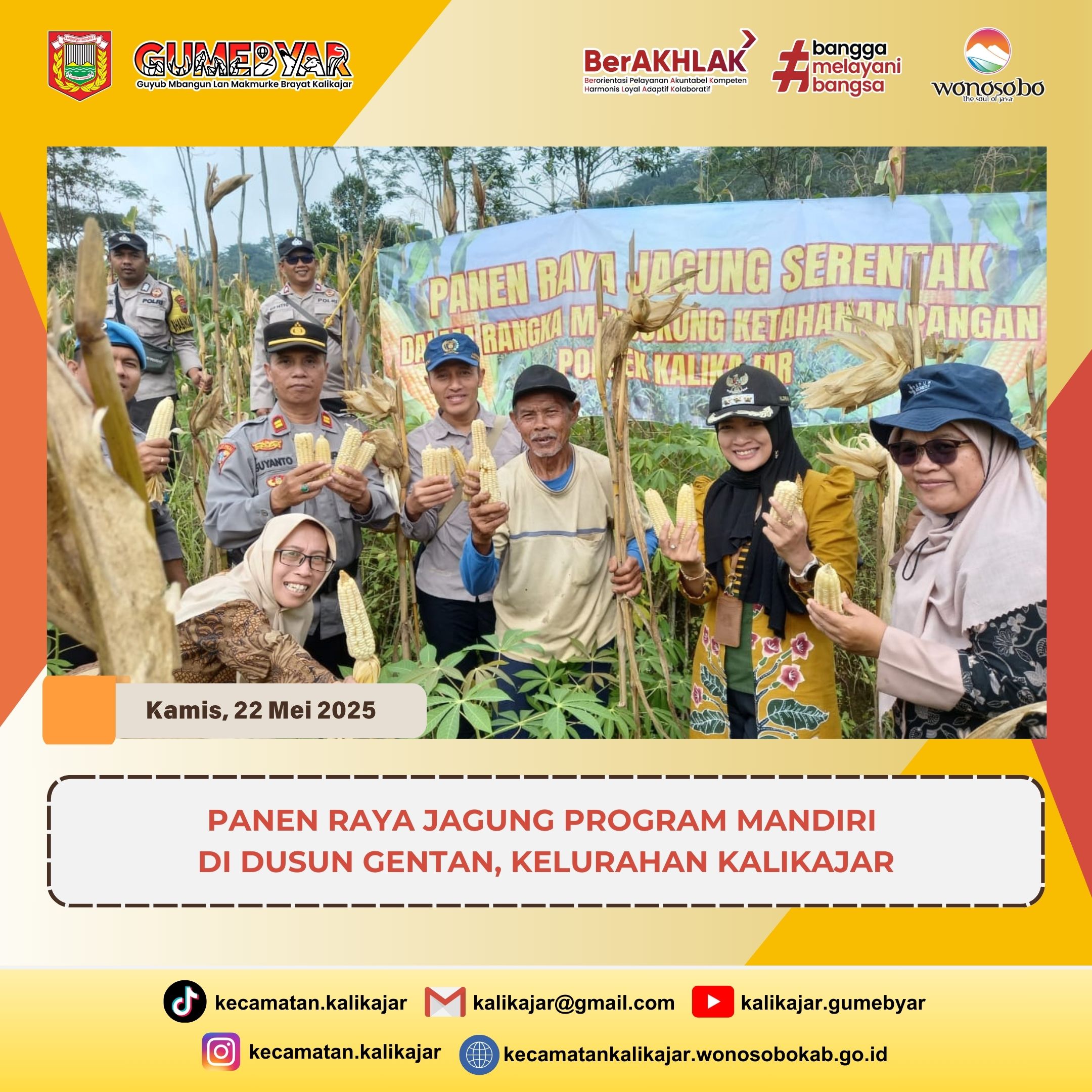 panen-raya-jagung-program-mandiri-di-dusun-gentan-kelurahan-kalikajar