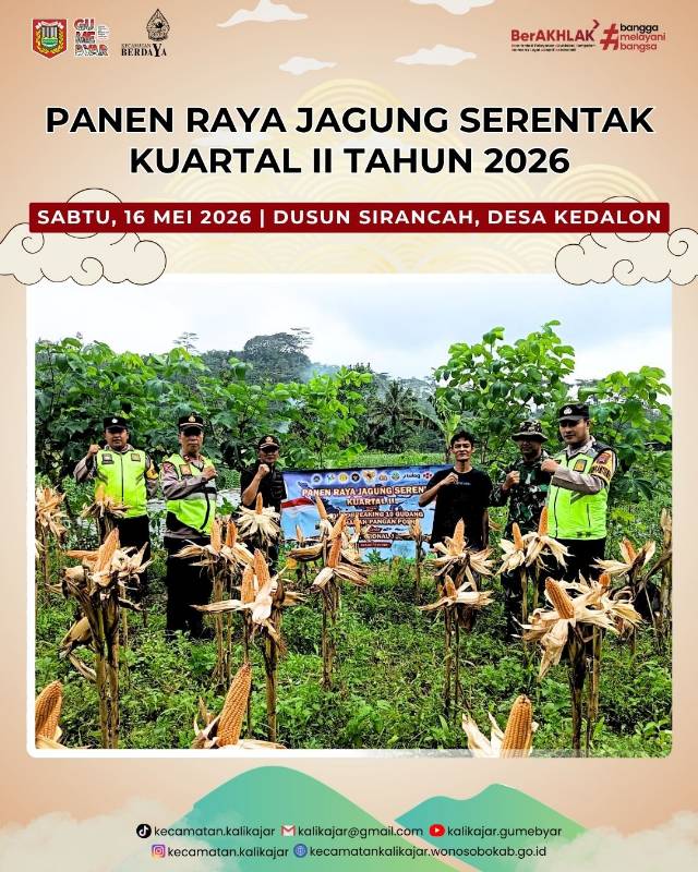 panen-raya-jagung-kuartal-ii-2026-perkuat-ketahanan-pangan-kalikajar
